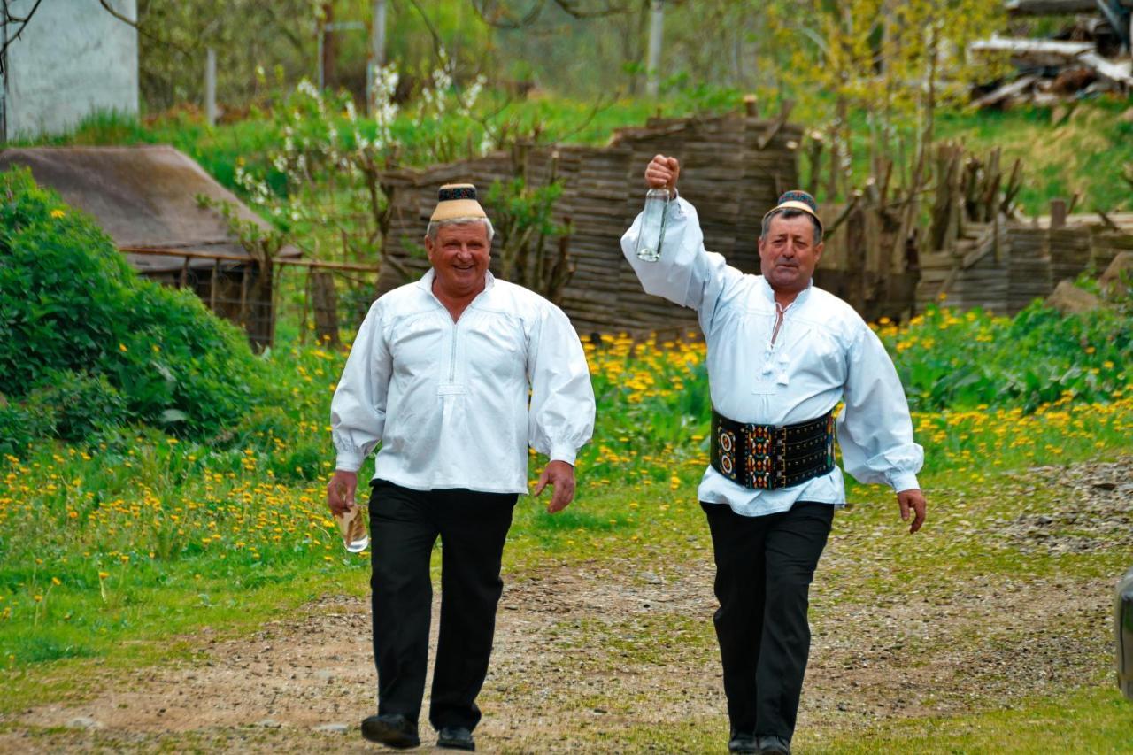 Pensjonat Breb 418, Casa Opris Zewnętrze zdjęcie