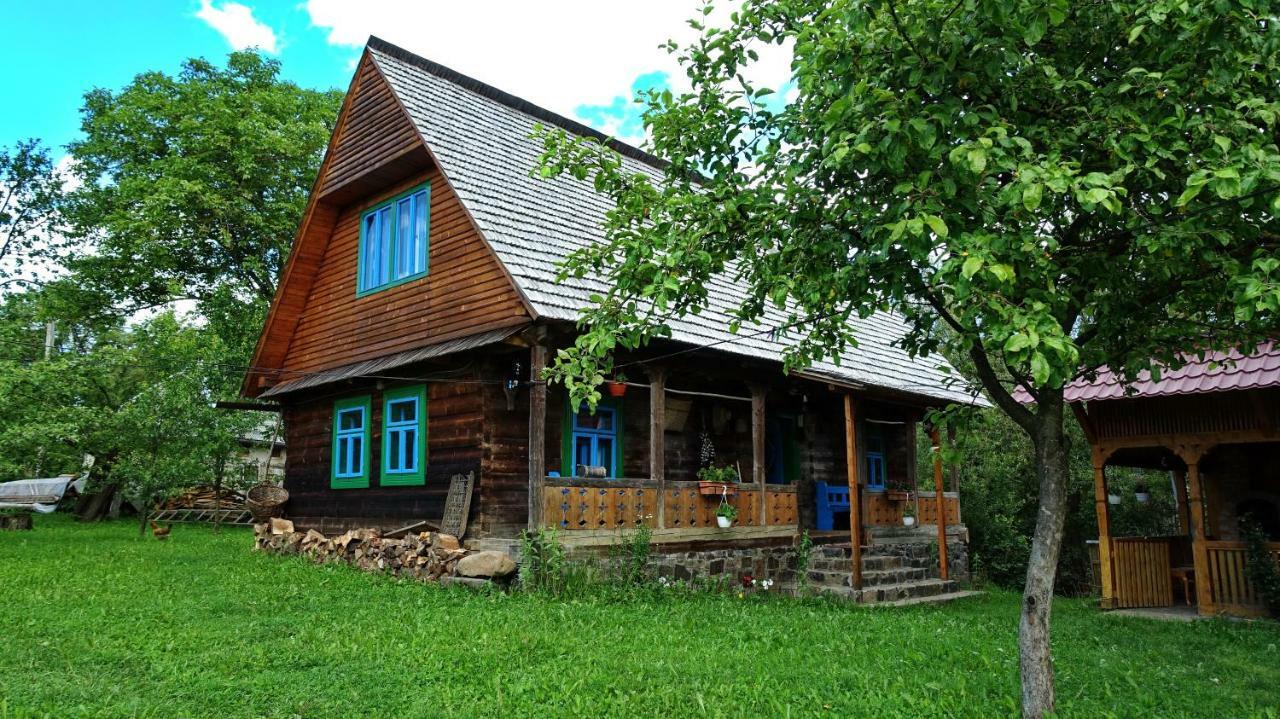 Pensjonat Breb 418, Casa Opris Zewnętrze zdjęcie