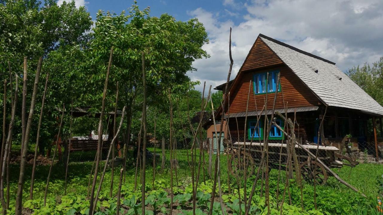 Pensjonat Breb 418, Casa Opris Zewnętrze zdjęcie