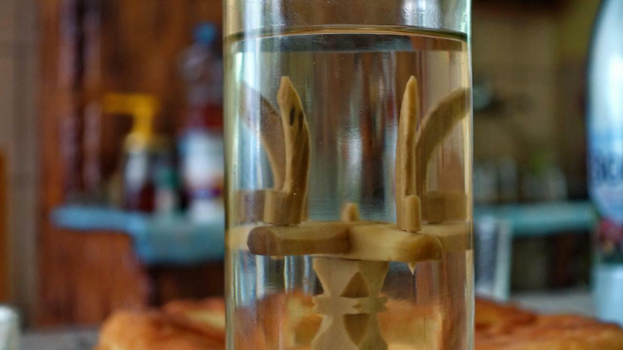 Pensjonat Breb 418, Casa Opris Zewnętrze zdjęcie