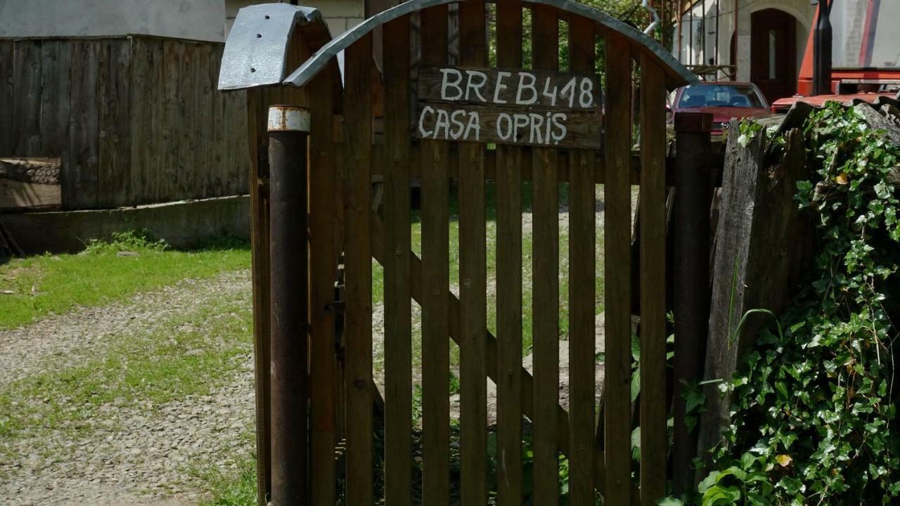 Pensjonat Breb 418, Casa Opris Zewnętrze zdjęcie