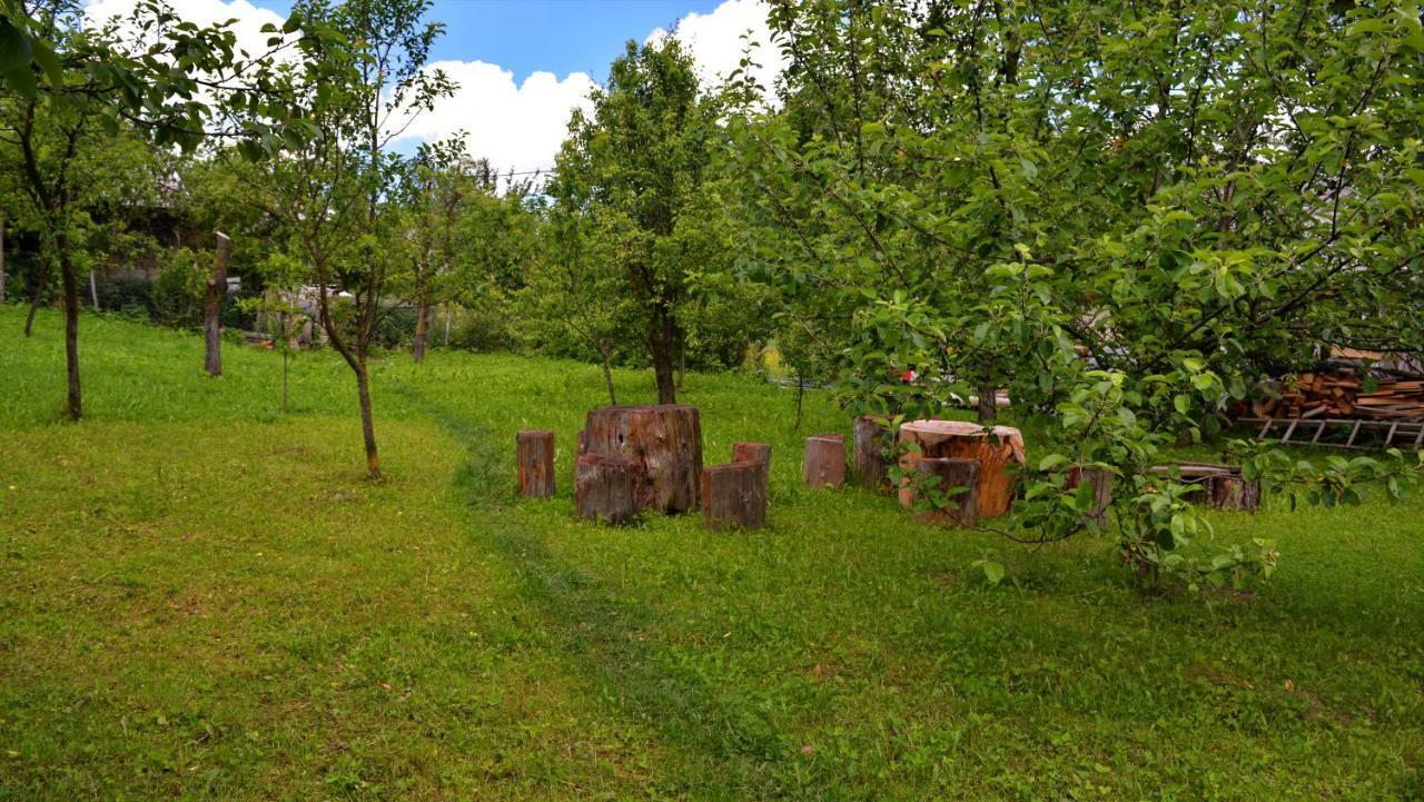 Pensjonat Breb 418, Casa Opris Zewnętrze zdjęcie