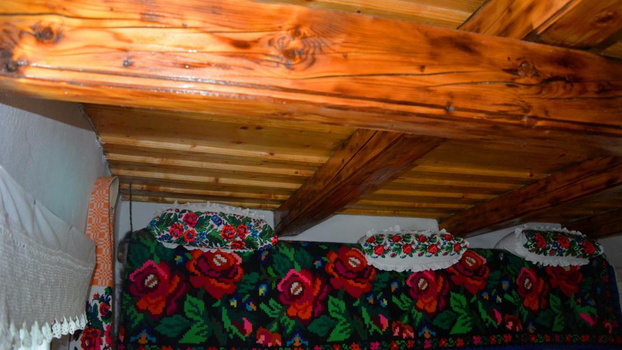 Pensjonat Breb 418, Casa Opris Zewnętrze zdjęcie
